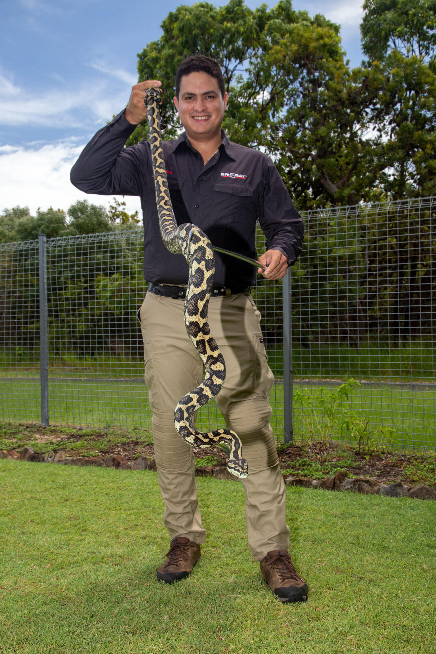 We are open for business – Brisbay Snakecatchers